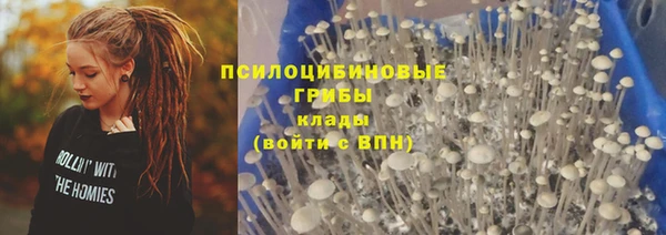 дмт Медногорск